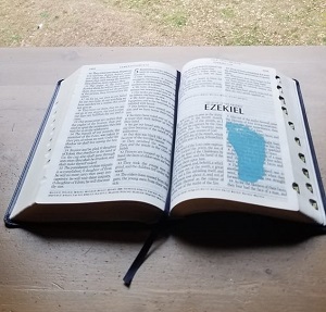 Ezekiel's Bible