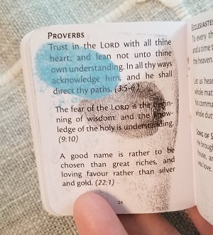 Ezekiel's Bible