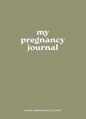 My Pregnancy Journal